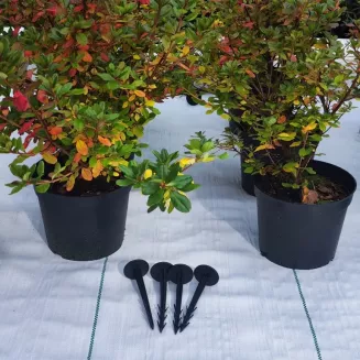 Agrotkanina biała 100g/m2 2x25m EXTRA GRUBA - 6