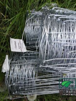 Siatka ogrodzeniowa rolno-leśna oczko 10x30 1,5x50m - 2