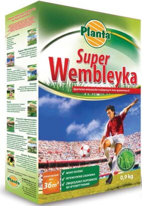Trawa Super Wembleyka Planta 0,9kg